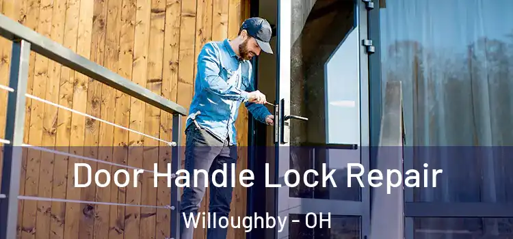 Door Handle Lock Repair Willoughby - OH
