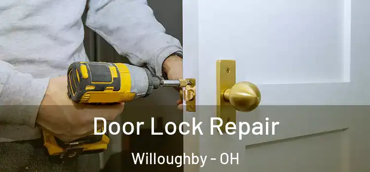 Door Lock Repair Willoughby - OH