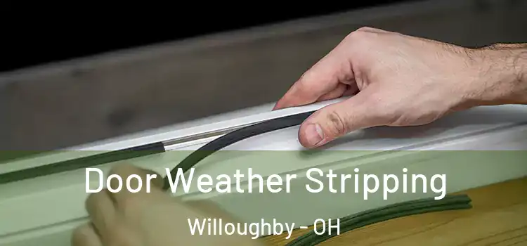 Door Weather Stripping Willoughby - OH