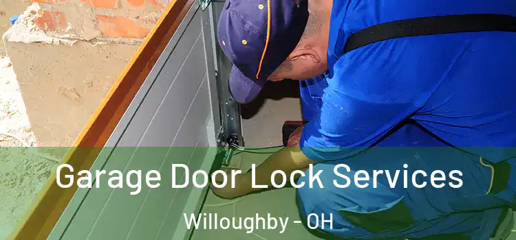 Garage Door Lock Services Willoughby - OH