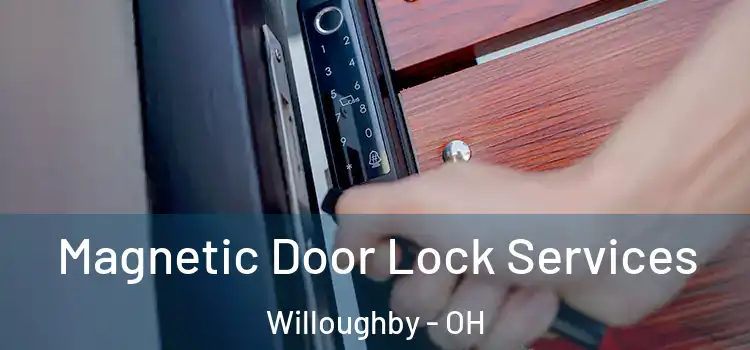 Magnetic Door Lock Services Willoughby - OH