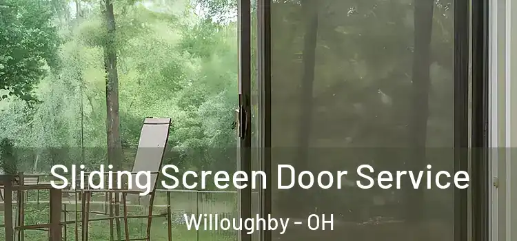 Sliding Screen Door Service Willoughby - OH