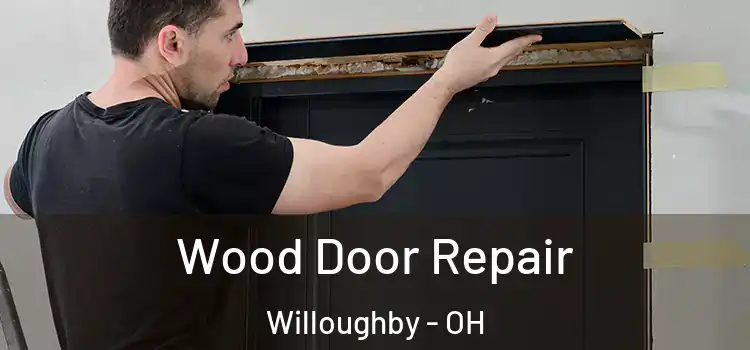 Wood Door Repair Willoughby - OH